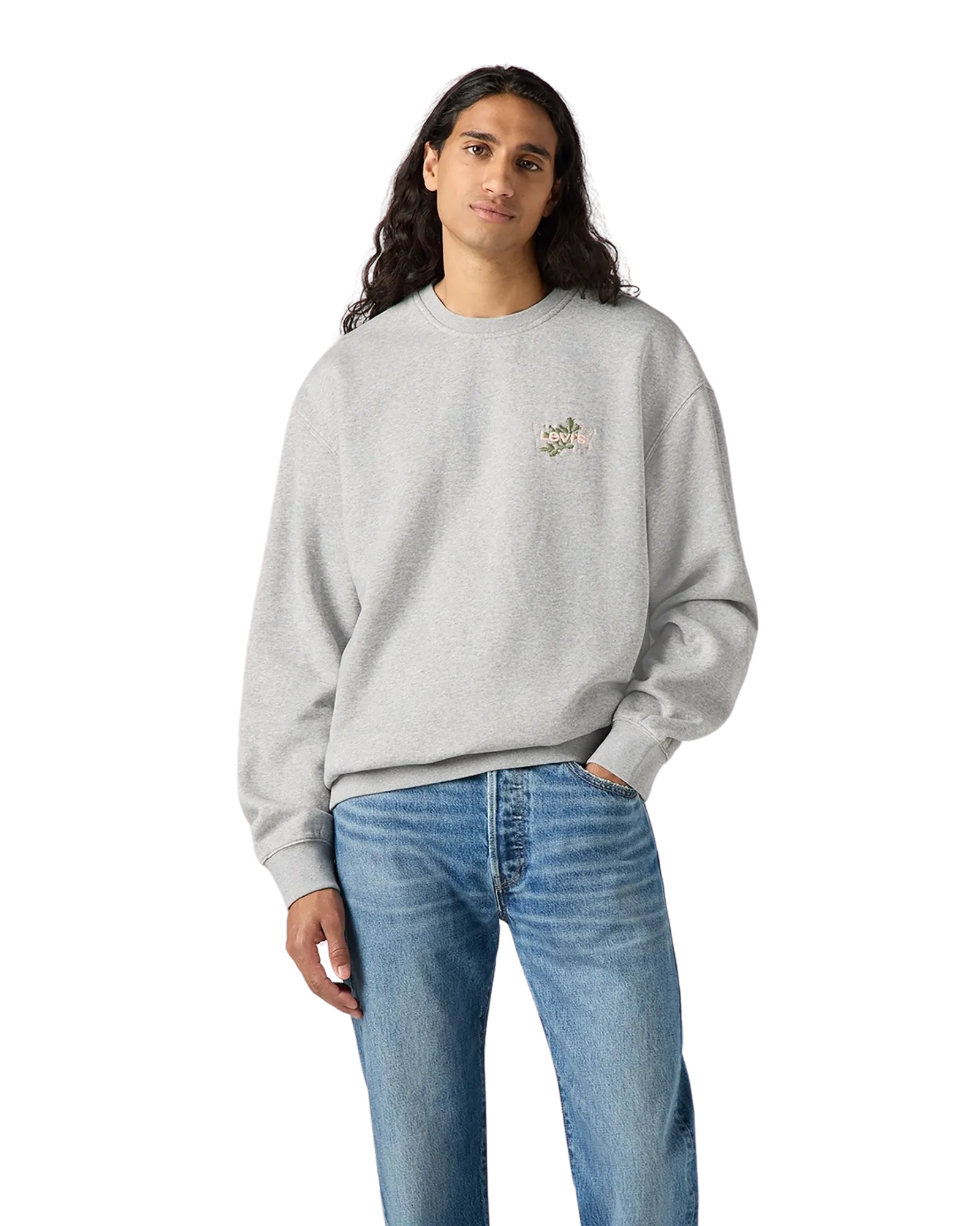 Levi's Kleidung Entspanntes Grafik-Sweatshirt in Heather Grey