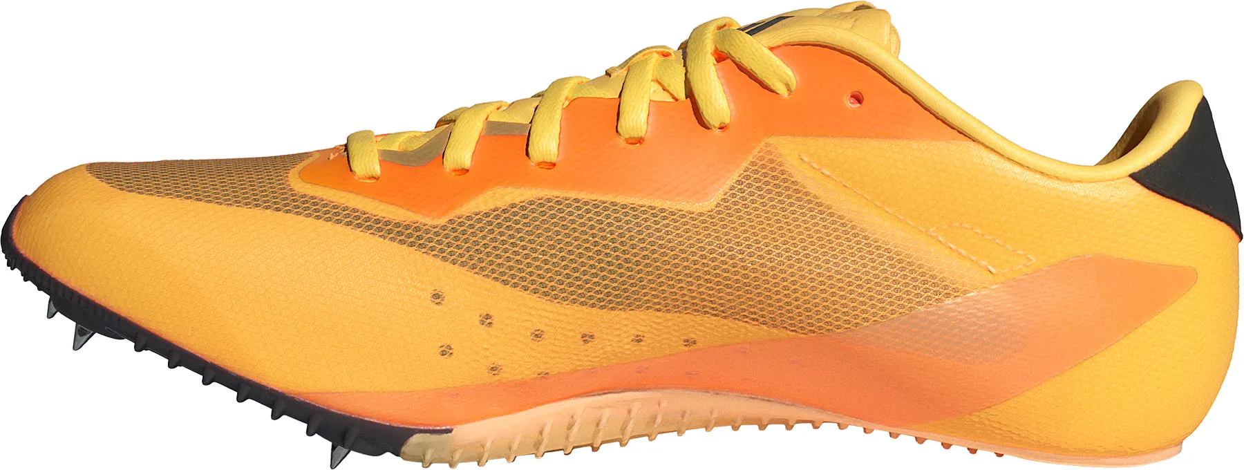 Schuhe Adidas Damen adidas Sprintstar Laufspikes - Orange