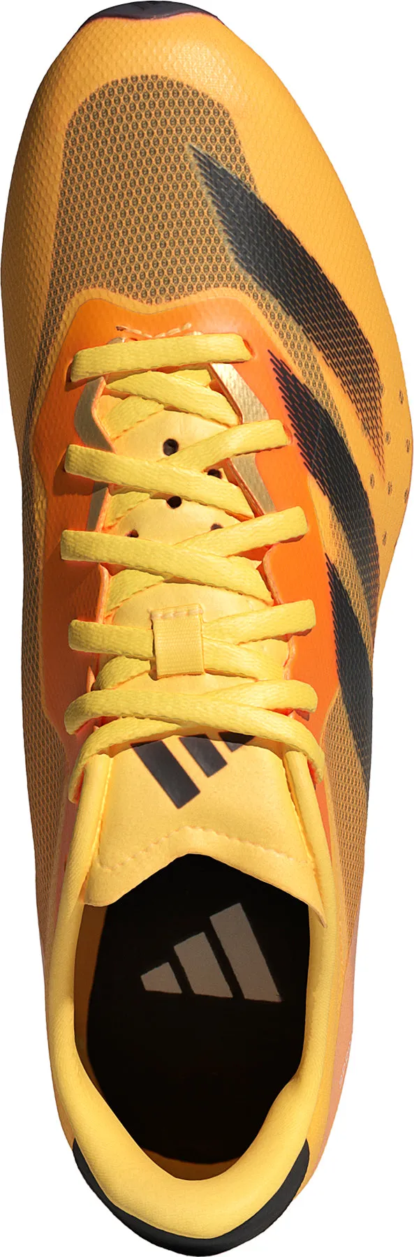 Schuhe Adidas Damen adidas Sprintstar Laufspikes - Orange