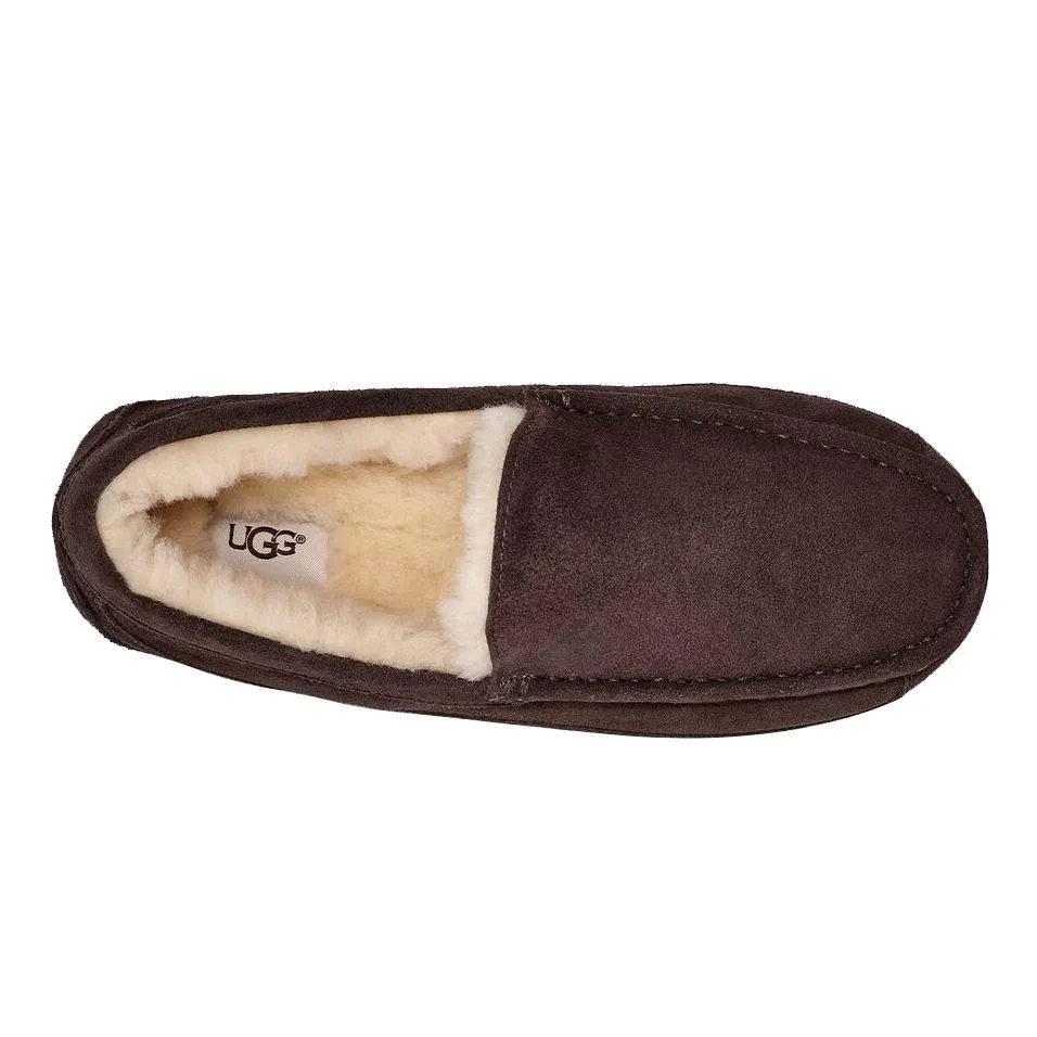 UGG Herren Ascot Espresso Wildleder UGG Schuhe